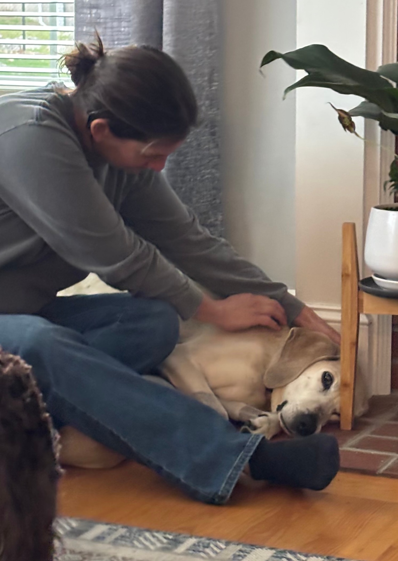 Jess practicing Reiki with a dog at home